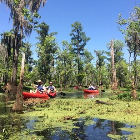 Kayakers paddling red kayaks through a sunny southern cypress swamp with Spanish moss, duckweed-covered water, and tall trees