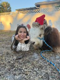 Woman lying on dry grass in a backyard at golden hour beside a fluffy miniature cow wearing a red Santa hat and blue rope halter, with a white vinyl fence and palm tree in the background.