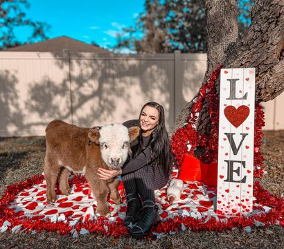 Smiling person in a backyard Valentine’s Day photo shoot sitting under a tree with a fluffy brown-and-white calf on a red-and-white heart blanket beside a vertical "LOVE" sign and red tinsel decorations.