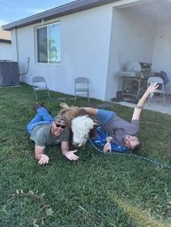 Two men laughing and lying on a green suburban backyard lawn cuddling a small fluffy white-faced calf near folding chairs and a gas grill.