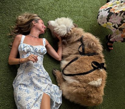 Young woman in a white floral summer dress lying on green turf, smiling and petting a large fluffy brown-and-white alpaca wearing a black harness.
