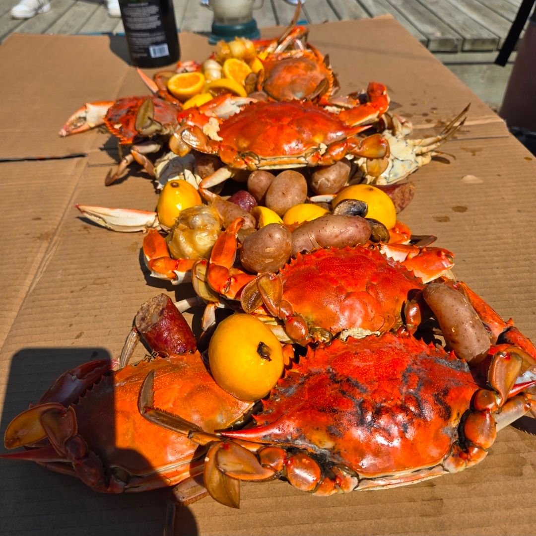 Bright orange steamed crabs in a Maryland-style crab boil on cardboard, piled with red potatoes, lemon halves and sausage at a sunny dockside outdoor feast