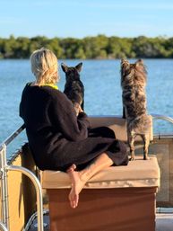 Person and two small dogs perched on a boat bench, gazing across a calm lake toward a tree-lined shore.