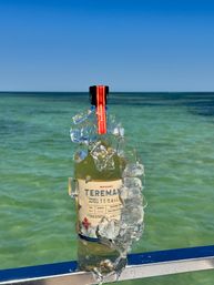 Reposado tequila bottle encased in melting ice on a boat railing with turquoise ocean and clear blue sky