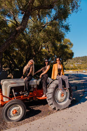 Three fashionable women posing on a vintage tractor under sunlit oak trees on a sunny rural road with blue sky and rolling hills