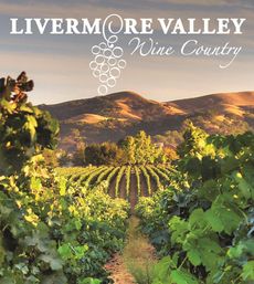 Sunlit Livermore Valley, California wine country vineyard with rows of grapevines framing a dirt path toward rolling golden hills at sunset
