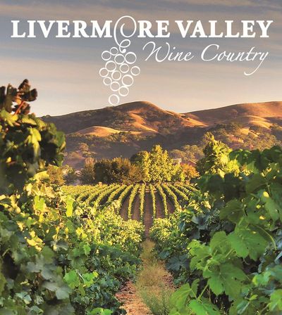 Sunlit Livermore Valley, California wine country vineyard with rows of grapevines framing a dirt path toward rolling golden hills at sunset