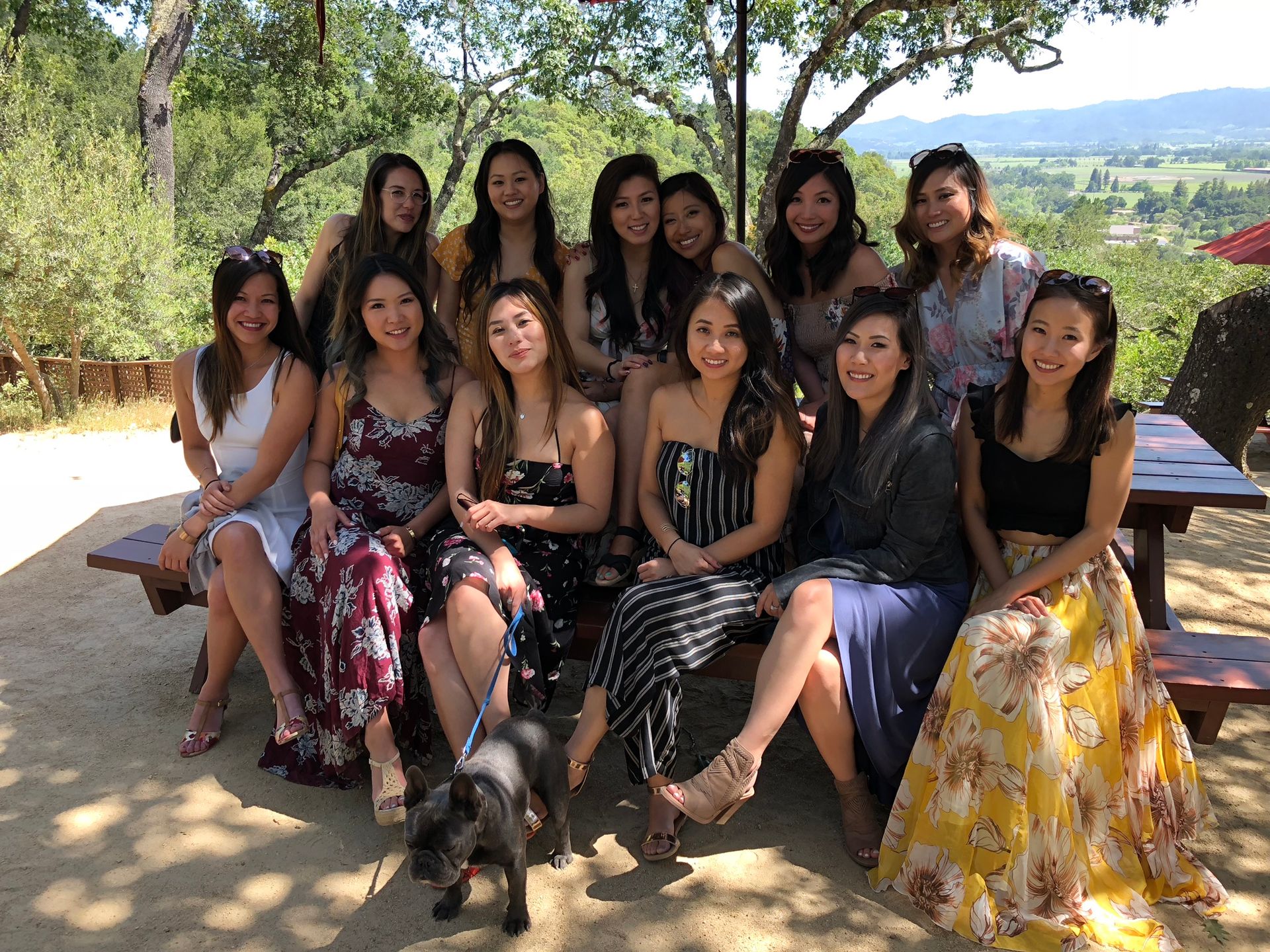 Group of friends in colorful summer dresses posing on picnic benches under oak trees with a sunny hillside vineyard and valley view, a French bulldog on a leash in front.
