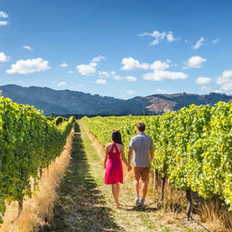 Couple holding hands walking down a sunny vineyard row lined with green grapevines, with rolling mountains and a bright blue sky — romantic wine-country scene