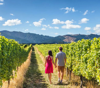 Couple holding hands walking down a sunny vineyard row lined with green grapevines, with rolling mountains and a bright blue sky — romantic wine-country scene