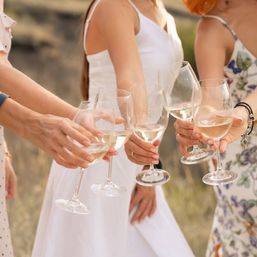 Group of friends toasting with rosé wine in glasses outdoors, summer dresses and sunset backdrop.