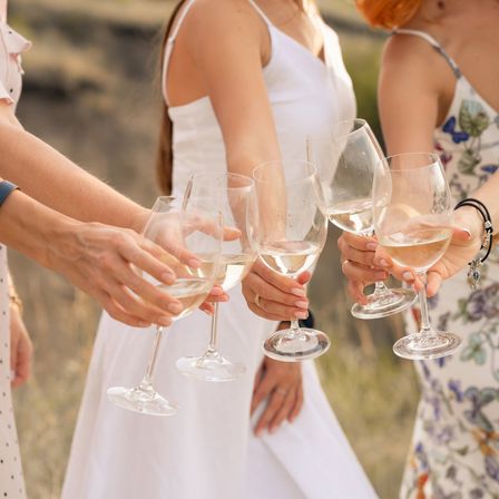 Group of friends toasting with rosé wine in glasses outdoors, summer dresses and sunset backdrop.