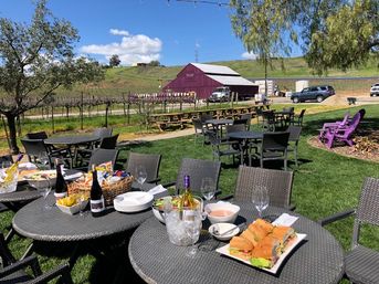 Sunny vineyard wine-tasting patio with round wicker tables set with wine bottles, glasses, sandwiches and snacks, picnic benches and a red barn against rolling green hills.