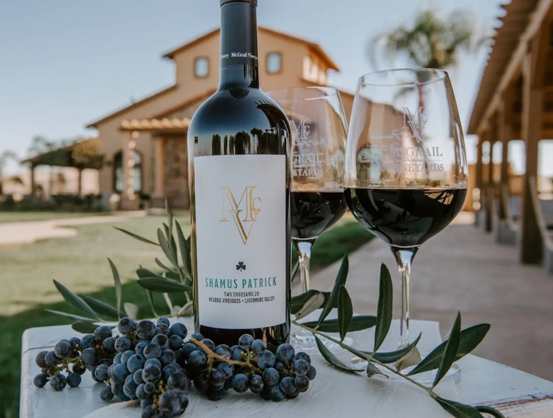 Sunlit vineyard patio scene with a bottle of red wine, two filled glasses, fresh grapes and an olive sprig on a table in front of a Mediterranean-style villa.