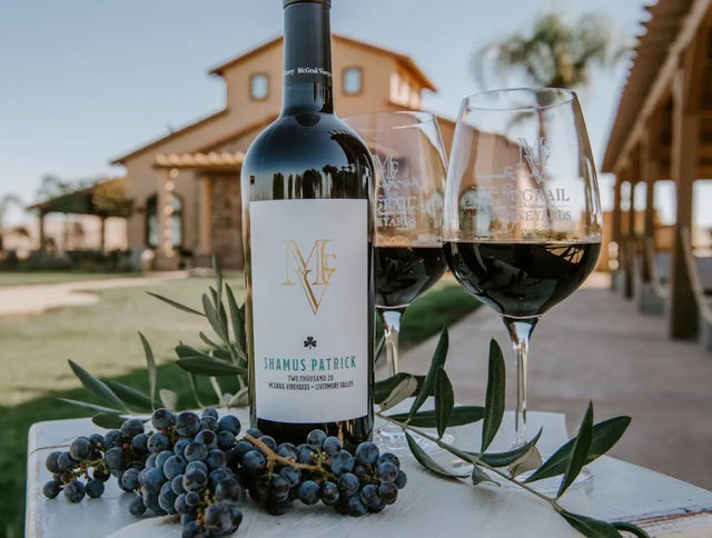 Sunlit vineyard patio scene with a bottle of red wine, two filled glasses, fresh grapes and an olive sprig on a table in front of a Mediterranean-style villa.