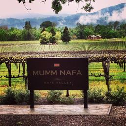 Napa Valley vineyard sign overlooking neat rows of grapevines, green trees, a farmhouse and misty, mist-covered hills