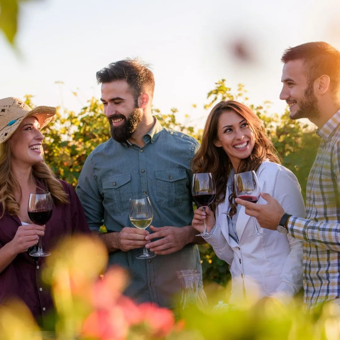 Four friends enjoying a wine tasting in a sunlit vineyard at golden hour, smiling and holding red and white wine glasses.