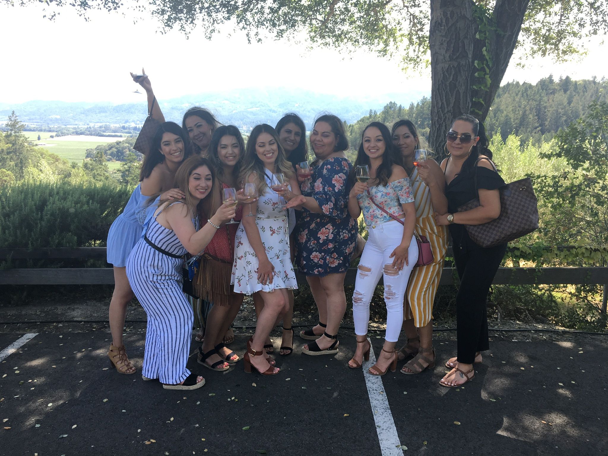 Cheerful group of friends toasting with wine glasses at a sunny vineyard overlook, rolling green hills and valley views in the background.