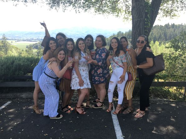 Cheerful group of friends toasting with wine glasses at a sunny vineyard overlook, rolling green hills and valley views in the background.