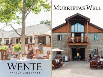 Sunny wine‑country scene: left, three guests sipping wine at a shaded outdoor patio beneath a tree with bottles and string lights; right, a rustic two‑story stone-and-wood tasting room with balcony and outdoor seating.