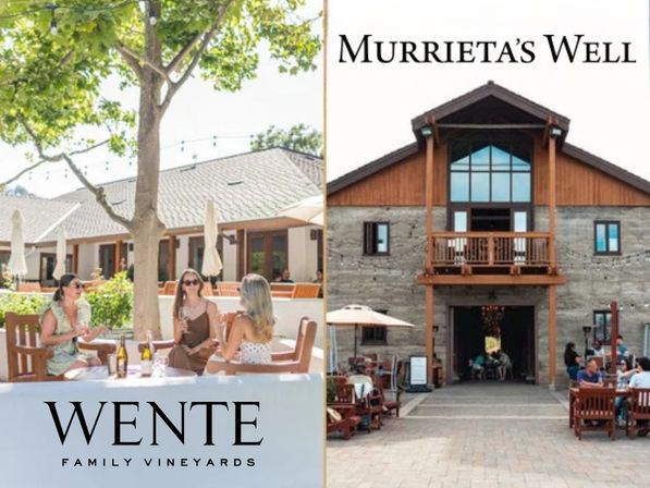 Sunny wine‑country scene: left, three guests sipping wine at a shaded outdoor patio beneath a tree with bottles and string lights; right, a rustic two‑story stone-and-wood tasting room with balcony and outdoor seating.