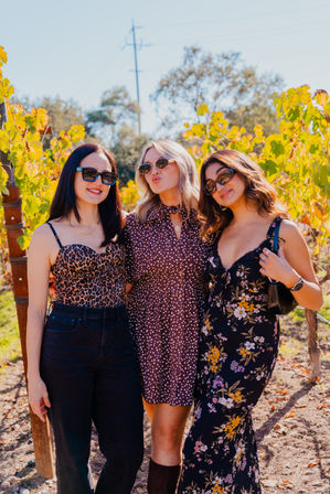 Survivor 47 Wine Tour - All Inclusive image 7