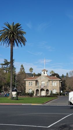 Sunny downtown scene with a tall palm tree beside a green lawn and a historic stone municipal building featuring a clock tower and U.S. flag, a modern white head sculpture on display, and a clear blue sky.