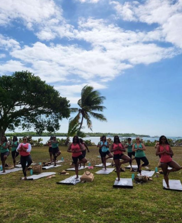 Sunny beachfront yoga session on a grassy coastal lawn: a group practicing tree pose on mats beneath a palm tree with ocean and blue sky in the background.