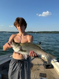 Angler holding a large striped bass on a boat during a sunny summer lake fishing trip, with tree-lined shoreline and blue sky in the background.
