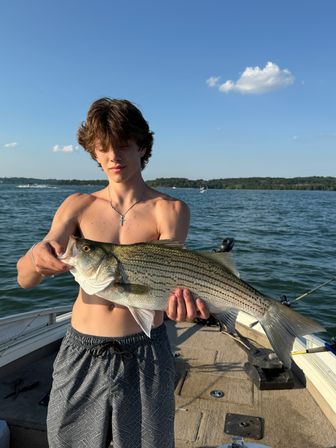 Angler holding a large striped bass on a boat during a sunny summer lake fishing trip, with tree-lined shoreline and blue sky in the background.