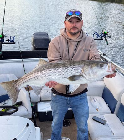 Angler on a pontoon boat holding a trophy-sized striped bass over calm lake water, with fishing rods, outboard motor and tackle visible.