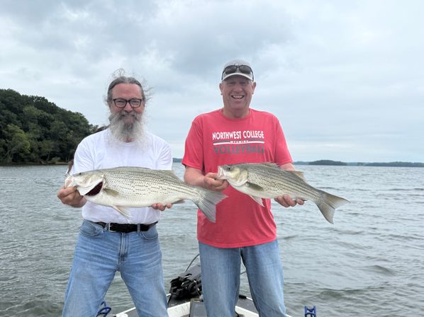 Two anglers on a boat proudly displaying large striped bass catches on a calm lake beneath an overcast sky