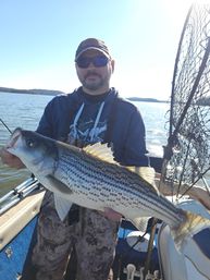 Bearded angler in sunglasses and cap holding a large striped bass on a sunlit lake boat, with fishing net and rods visible — lake fishing catch.