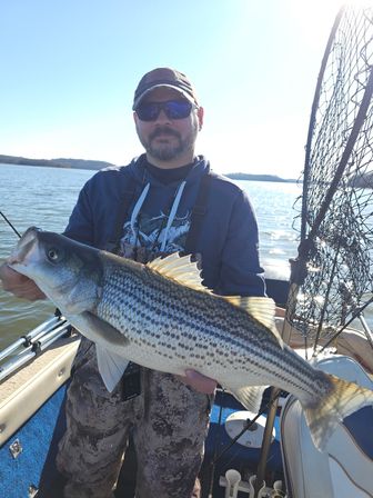 Bearded angler in sunglasses and cap holding a large striped bass on a sunlit lake boat, with fishing net and rods visible — lake fishing catch.