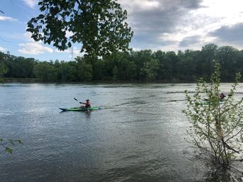 Two paddlers in colorful kayaks gliding across a wide, calm river with a leafy tree-lined shore and overcast sky, branches framing the foreground.