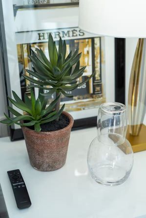Terracotta potted succulent on a white console table with a clear glass carafe, gold-based table lamp, remote control and framed artwork — modern bedside vignette.