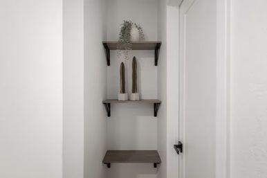 Narrow white alcove with three wood floating shelves displaying two tall potted cacti and a trailing plant in a minimalist modern hallway.