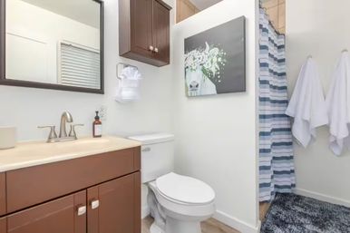 Bright modern residential bathroom with brown vanity and mirror, white toilet, blue-striped shower curtain and whimsical cow floral wall art.