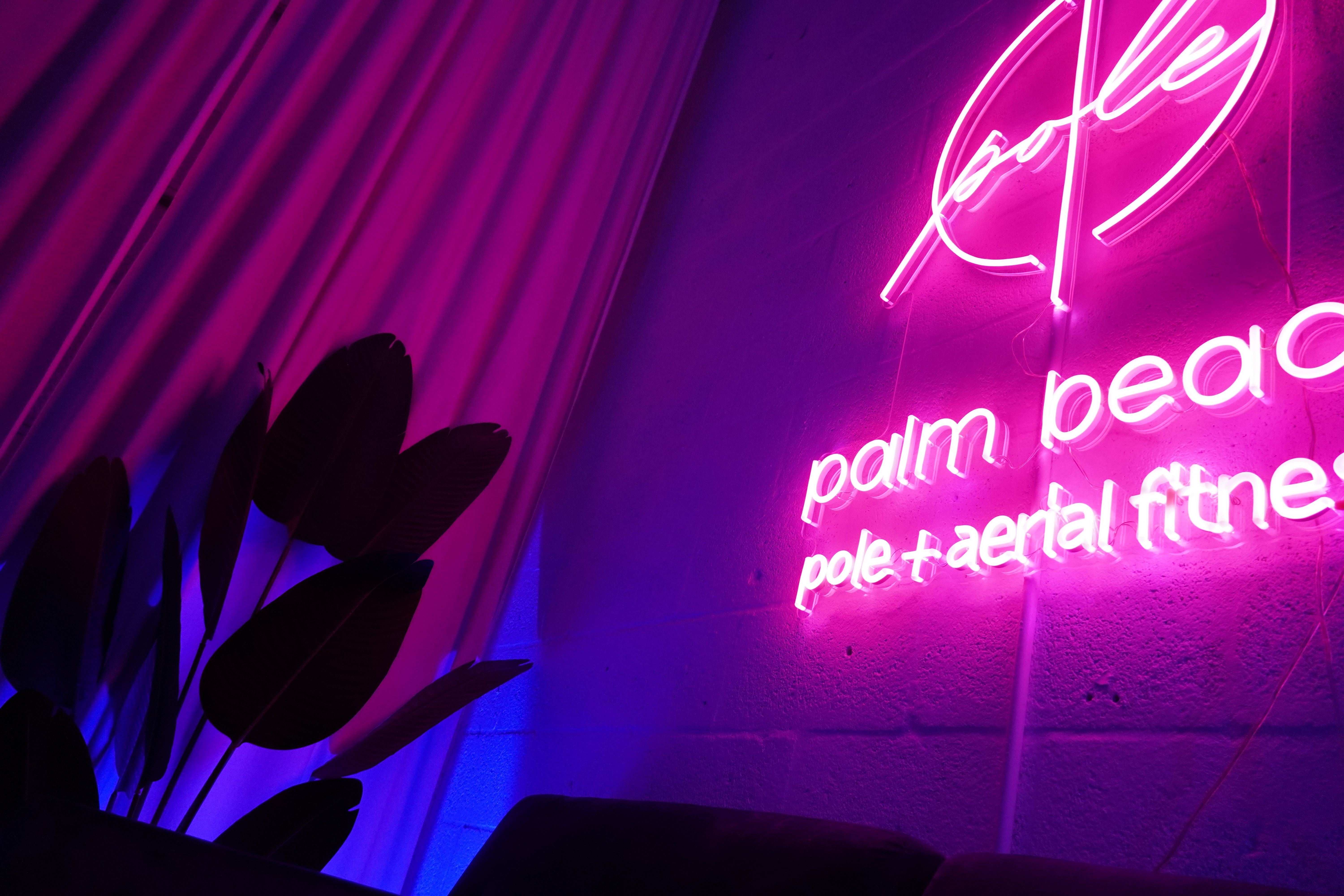 Vibrant magenta neon sign advertising pole and aerial fitness glows on a textured wall, with draped curtains and silhouetted tropical plant leaves bathed in pink and blue ambient light.