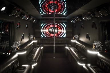 Miami's Exclusive Party Bus Experience, Hot Male Dancers available upon request! image 21