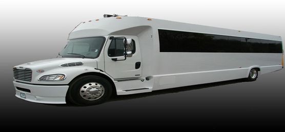 Miami's Exclusive Party Bus Experience, Hot Male Dancers available upon request! image 14