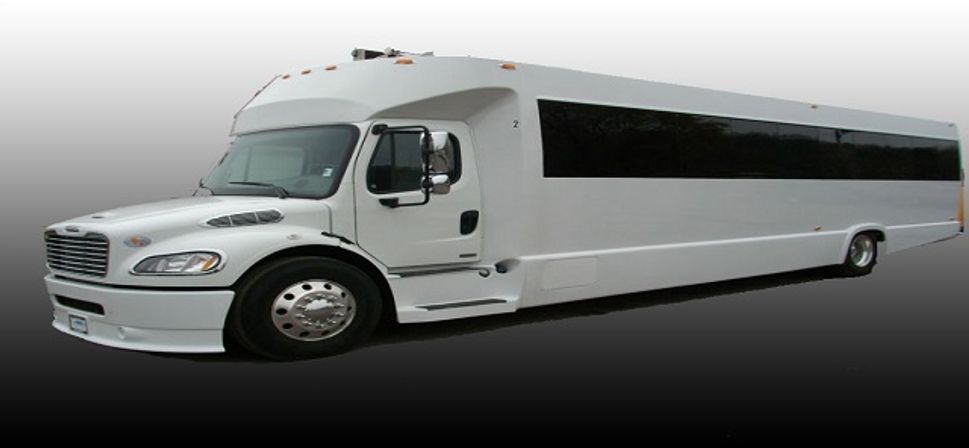 Miami's Exclusive Party Bus Experience, Hot Male Dancers available upon request! image 14