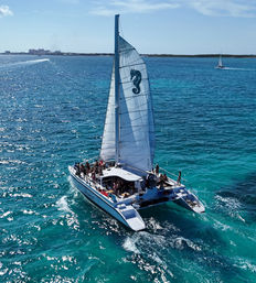 Aerial view of a white catamaran with a seahorse-marked sail carrying passengers across sparkling turquoise tropical waters under a sunny blue sky.