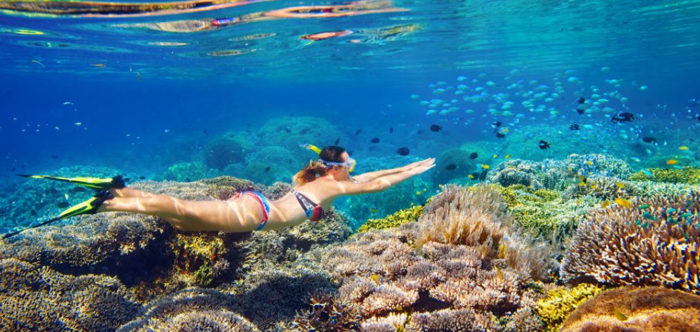 Snorkeler with mask and fins gliding over a vibrant tropical coral reef teeming with colorful fish in clear blue water