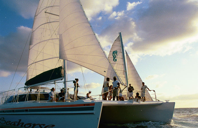 Catamaran with tall white sails and a seahorse emblem carrying a group of people on a sunset ocean sail under a partly cloudy sky.