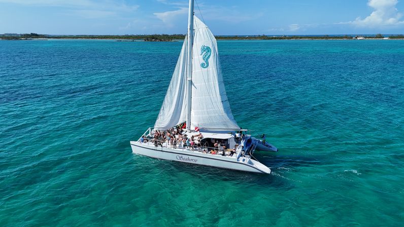 White catamaran with tall sail and seahorse graphic carrying a crowd over clear turquoise tropical waters near a low-lying island