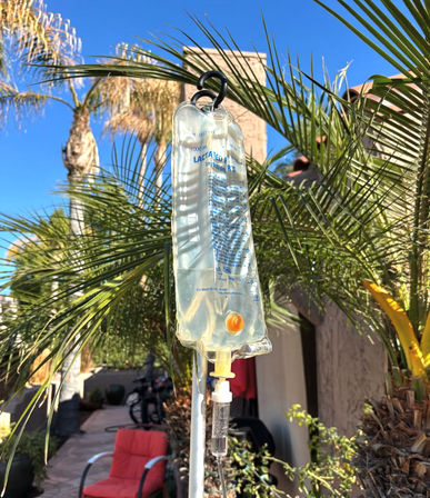 Lactated Ringer's IV fluid bag hanging from an IV pole on a sunny backyard patio with palm trees, blue sky, and a red outdoor chair