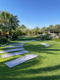 Yoga mats laid out on a manicured green lawn winding among palm trees and rock landscaping beneath a clear blue sky — sunny outdoor yoga setup in a palm garden.