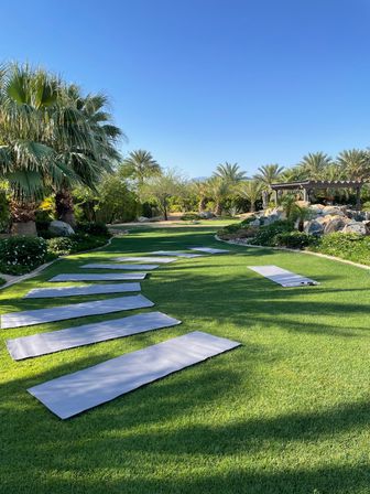 Yoga mats laid out on a manicured green lawn winding among palm trees and rock landscaping beneath a clear blue sky — sunny outdoor yoga setup in a palm garden.