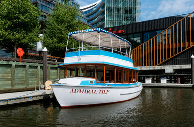 Party on the Potomac in Style! image